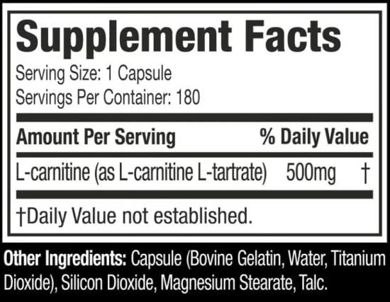 l carnitine strong L-Carnitine 5000 – EC Sports Supplements