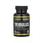 California Gold Nutrition_Sport, Tribulus, 1,000 mg, 60 Tablets